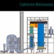 Celbi mill: Recovery & Biomass Boilers, Fig. da Foz, Portugal